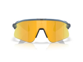 OAKLEY Sunglasses Stunt Devil Matte Trans Abyss | Prizm...