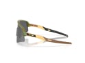 OAKLEY Sonnenbrille Sutro Lite Sweep POLARIS COLLECTION Fern Spacedust | Prizm Black OO9465-3539