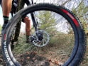 VITTORIA Syerra Down-Country Tire 29" x 2.4 TLR black - SPECIAL OFFER