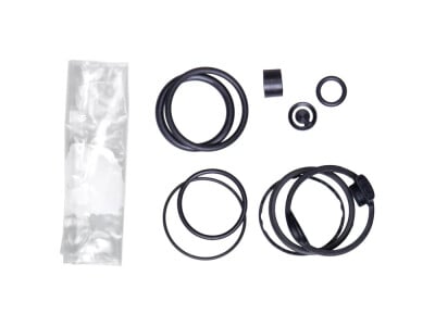 DAYSAVER Repair and Refurbish Kit for Incredible Pumps