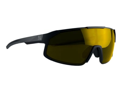 DIRTLEJ Sunglasses specs 02 | black / gold