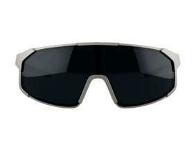 DIRTLEJ Sunglasses specs 02 | grey / black