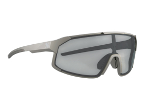 DIRTLEJ Sunglasses specs 02 | grey / photochromic