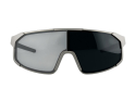 DIRTLEJ Sunglasses specs 02 | grey / photochromic