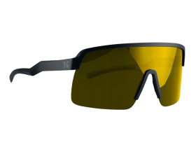 DIRTLEJ Sunglasses specs 03 | black / gold