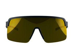 DIRTLEJ Sunglasses specs 03 | black / gold