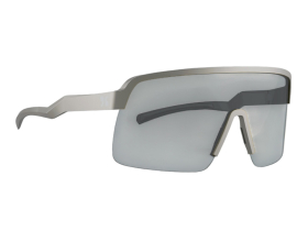 DIRTLEJ Sunglasses specs 03 | grey / photochromic