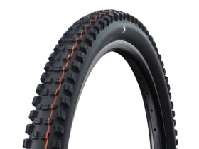 SCHWALBE Reifen Romy Trail Pro 29 x 2,40 | SOFT TLR |...