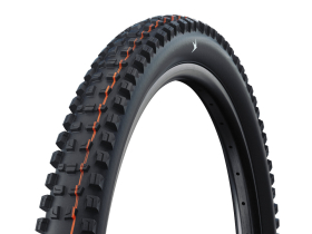 SCHWALBE Reifen Romy Gravity Pro 29 x 2,50 | SOFT RADIAL...