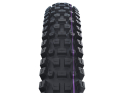 SCHWALBE Tire Albert Trail Pro 29 x 2.60 | SOFT RADIAL TLR | black