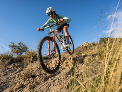 FOX Suspension Fork 29