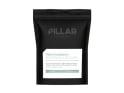 PILLAR PERFORMANCE Nutritional Supplement Triple Magnesium Professional Recovery Powder Lemon Lime Value Pack | 400g Bag