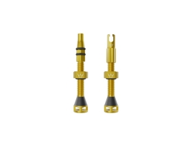 PEATYS Tubeless Valve Set Holeshot Fast Flow | Gold