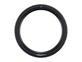 SCHWALBE Tire Nobby Nic 29 x 2.60 | ADDIX GREEN TLR | black