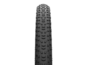 MAXXIS Tire Aspen AT 29 x 2.40 WT MaxxSpeed TR EXO