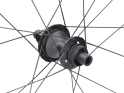 ZIPP Rear Wheel 28" 202 NSW Carbon | Tubeless | Center Lock | 12x142 mm Thru Axle | Shimano Road