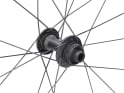 ZIPP Wheel Set 28" 202 NSW Carbon | Tubeless | Center Lock 12x100 mm | 12x142 mm Thru Axle