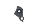 CARBON-TI Derailleur Hanger X-Hanger UDH | black