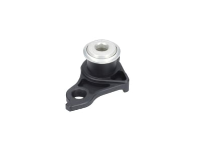 CARBON-TI Derailleur Hanger X-Hanger UDH | silver