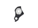 CARBON-TI Derailleur Hanger X-Hanger UDH | silver