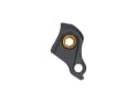 CARBON-TI Derailleur Hanger X-Hanger UDH | gold