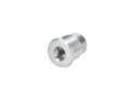 CARBON-TI Mounting Bolt X-Bolt for UDH Derailleur Hanger | silver