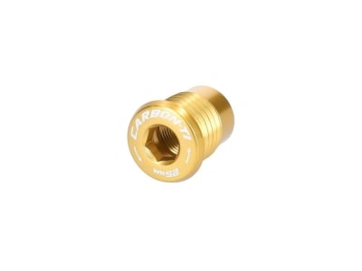 CARBON-TI Befestigungsbolzen X-Bolt für UDH Schaltauge | gold