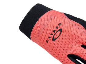 OAKLEY Handschuhe Langfinger All Mountain | paloma