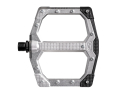 CRANKBROTHERS Pedals Stamp EVO Small | silver