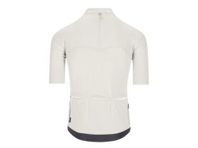 Q36.5 Short Sleeve Jersey Dottore Pro | optic white