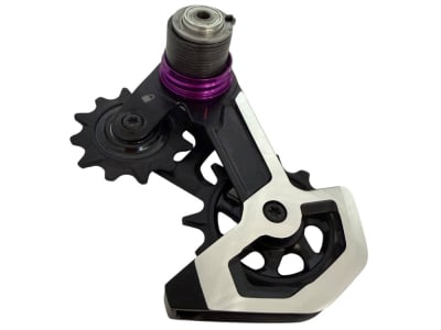 SRAM XX DH Transmission Rear Derailleur Cage