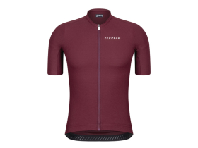 ISADORE Short Sleeve Jersey Debut Merino Air | fig