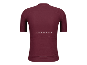 ISADORE Kurzarmtrikot Debut Merino Air Jersey | fig
