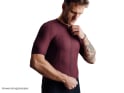 ISADORE Short Sleeve Jersey Debut Merino Air | fig