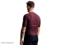 ISADORE Short Sleeve Jersey Debut Merino Air | fig