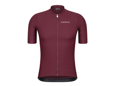 ISADORE Short Sleeve Jersey Debut Merino Air | fig M