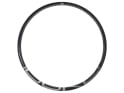 DUKE Rim 29" Crazy Jack SLS5 6Ters UD Carbon | 31 mm rear wheel - B-STOCK