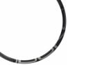 DUKE Rim 29" Crazy Jack SLS5 6Ters UD Carbon | 31 mm rear wheel - B-STOCK