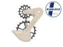 KOGEL BEARINGS Oversized Derailleur Cage System Speed Kolossos | SRAM XPLR AXS | 1x13 | desert sage