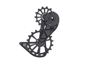 KOGEL BEARINGS Oversized Schaltwerkkäfig System...