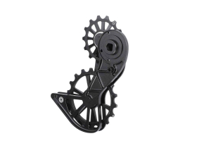 KOGEL BEARINGS Oversized Schaltwerkkäfig System...