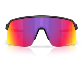 OAKLEY Sonnenbrille Sutro Lite TROY LEE DESIGNS SERIES...
