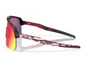 OAKLEY Sunglasses Sutro Lite TROY LEE DESIGNS SERIES TLD Matte Black | Prizm Road OO9463-B739