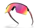 OAKLEY Sunglasses Sutro Lite TROY LEE DESIGNS SERIES TLD Matte Black | Prizm Road OO9463-B739