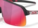 OAKLEY Sunglasses Sutro Lite TROY LEE DESIGNS SERIES TLD Matte Black | Prizm Road OO9463-B739