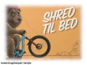 KIDS RIDE SHOTGUN Shred Til Bed Ahead Cap 1 1/8" | black