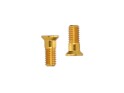CARBON-TI Rear Derailleur Pulley Bolt Set X-Jockey 12/12 for Shimano Dura-Ace 9200 | gold