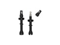 WOLF TOOTH Tubeless Valve Stem Kit | black 80 mm