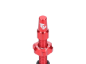 WOLF TOOTH Tubeless Valve Stem Kit | red 80 mm
