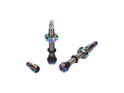 WOLF TOOTH Tubeless Valve Stem Kit | rainbow 80 mm